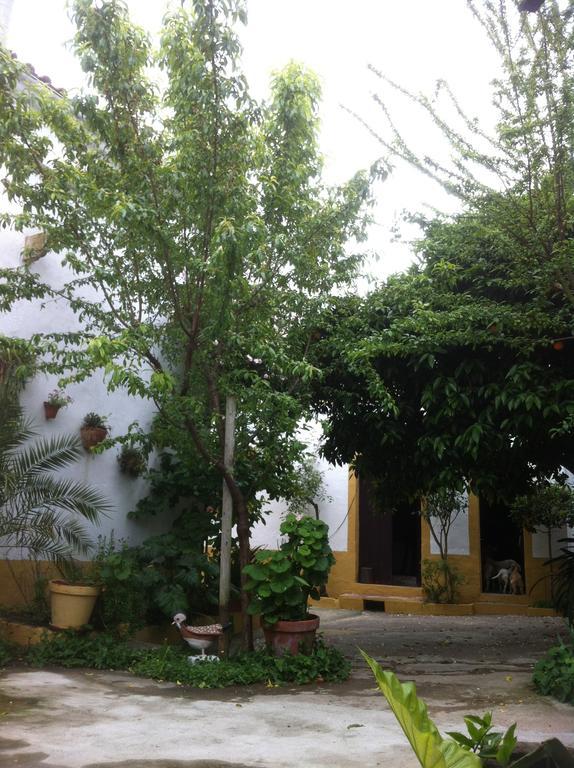 Patio Das Flores Ferreira Do Alentejo Exterior photo