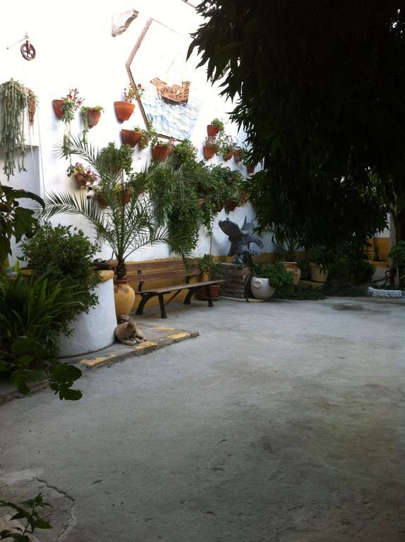 Patio Das Flores Ferreira Do Alentejo Exterior photo