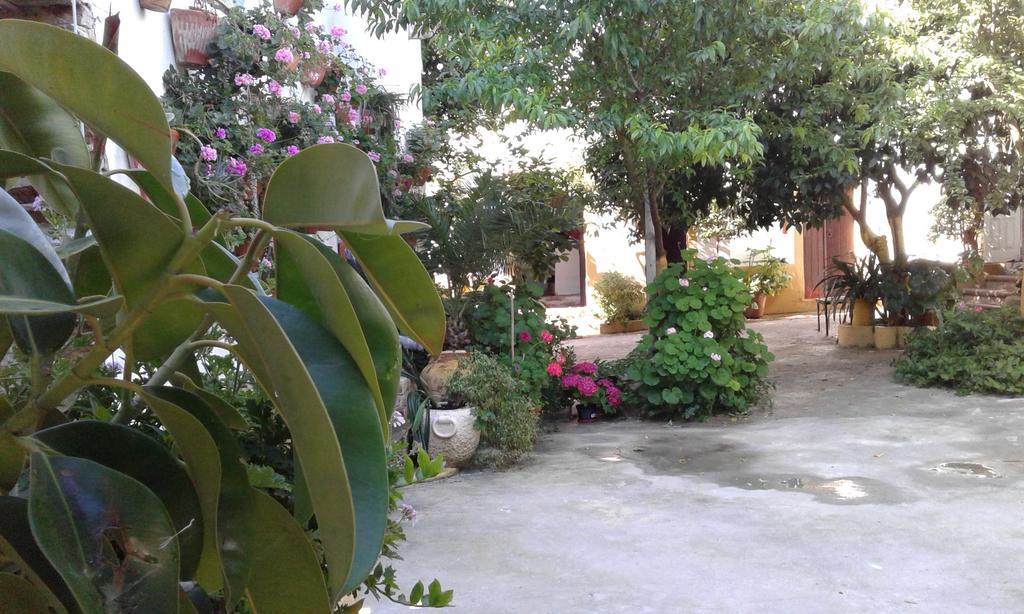 Patio Das Flores Ferreira Do Alentejo Exterior photo